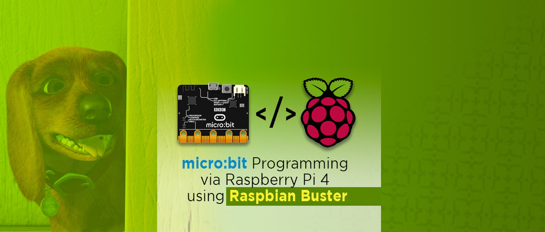 Micro:bit Programming via Raspberry Pi 4 using Raspbian Buster