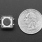 Tactile Switch Buttons (12mm square, 6mm tall) - 10 Pack