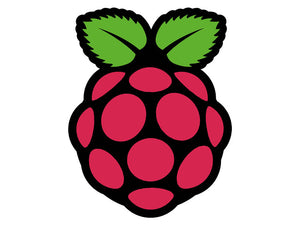 Raspberry Pi® Official Sticker