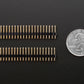 2x23 Male Headers for BeagleBone Black - Two Pack