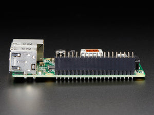 GPIO Header for Raspberry Pi A+/B+/Pi 2/Pi 3/Pi 4/Zero - 2x20 Female Header