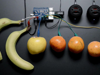 Adafruit Capacitive Touch HAT for Raspberry Pi - Mini Kit - MPR121
