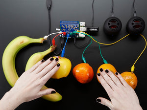 Adafruit Capacitive Touch HAT for Raspberry Pi - Mini Kit - MPR121