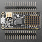 Adafruit Feather 32u4 Basic Proto Development Board
