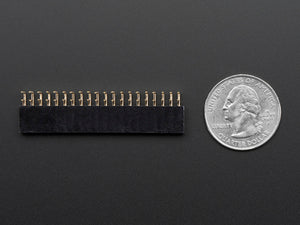 0.1" 2x20-pin Strip Right Angle Female Header