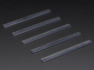 36-pin 0.1" Short Female Header - Pack of 5
