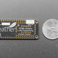 Adafruit LoRa Radio FeatherWing - RFM95W 900 MHz - RadioFruit