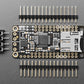Adafruit Music Maker FeatherWing w/ Amplifier