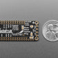 Adafruit Music Maker FeatherWing w/ Amplifier
