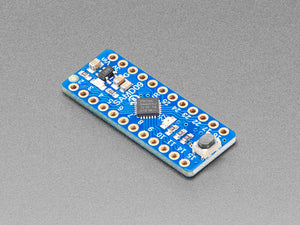 Adafruit ATSAMD09 Breakout with seesaw