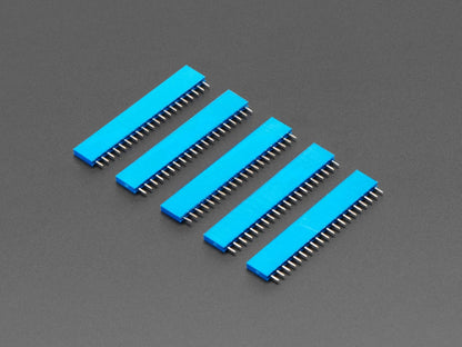 20-pin 0.1" Female Header - Blue - 5 pack