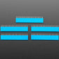 20-pin 0.1" Female Header - Blue - 5 pack