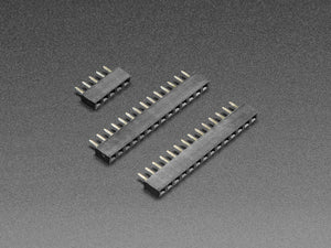 Short Female Header Kit for ItsyBitsy