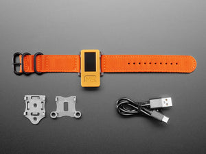 M5StickC Plus IoT Development Kit with Watch Accessories