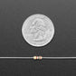 Through-Hole Resistors - 100 ohm 5% 1/4W - Pack of 25