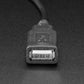 USB Type A Jack Breakout Cable with Premium Female Jumpers - 30cm