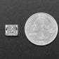 USB Type C SMT / THM Jack Connector - Pack of 10