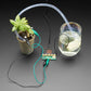 Plant Care Kit for micro:bit or CLUE