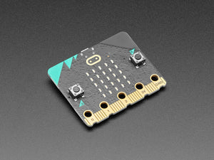 micro:bit v2 Go Bundle - Batteries and USB Cable Included