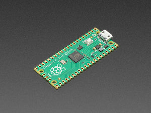 Raspberry Pi Pico RP2040 with Loose Unsoldered Headers