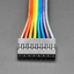 2.54mm 0.1" Pitch 8-pin Jumper Cable - 20cm long