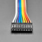 2.54mm 0.1" Pitch 9-pin Jumper Cable - 20cm Long