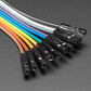 Premium Female/Male Extension Jumper Wires - 10 x 12" (300mm)
