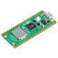 Raspberyy Pi Pico 2 W