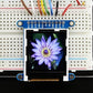 Adafruit 1.44 Color TFT LCD Display with MicroSD Card breakout