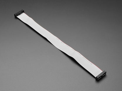 GPIO Ribbon Cable 2x10 IDC Cable - 20 pins 12" long