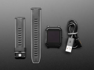 Espruino Bangle.js v2 - Hackable Javascript Smart Watch