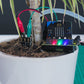 Kitronik Mini Prong Soil Moisture Sensor for BBC micro:bit
