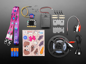 DigiKey Hackbox - Clue and PyLeap