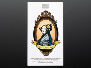 Ada Lovelace Large Oval Color Sticker