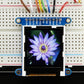 Adafruit 1.44 Color TFT LCD Display with MicroSD Card breakout