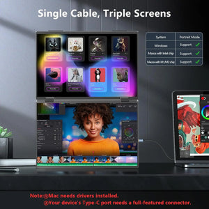 15.6'' Dual Screen Portable Monitor 1080P FHD for Meeting Presentation, Face-to-Face Sharing, Plug & Play Secondary Display