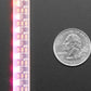 Adafruit NeoPixel LED Side Light Strip - Black 120 LED