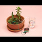 Plant Care Kit for micro:bit or CLUE